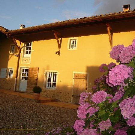 Hotel Bed & Breakfast - Maison De Marie Messimy-sur-Saone Exteriér fotografie