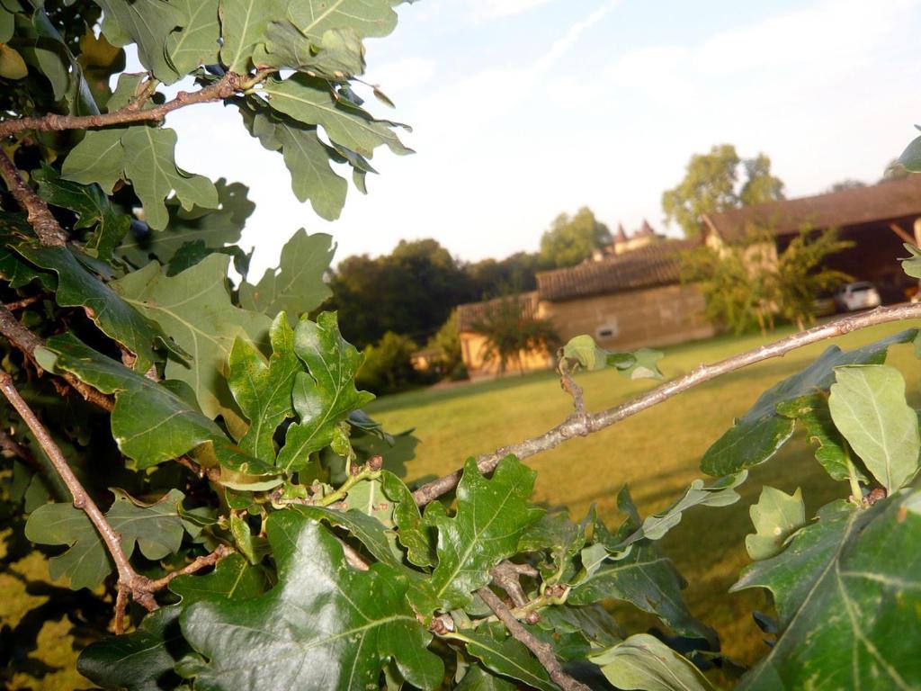 Hotel Bed & Breakfast - Maison De Marie Messimy-sur-Saone Exteriér fotografie