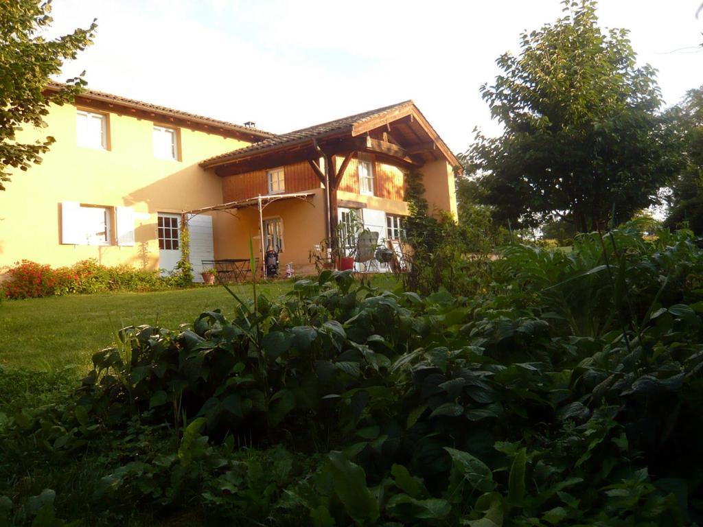 Bed & Breakfast - Maison De Marie Messimy-sur-Saone Exteriér fotografie