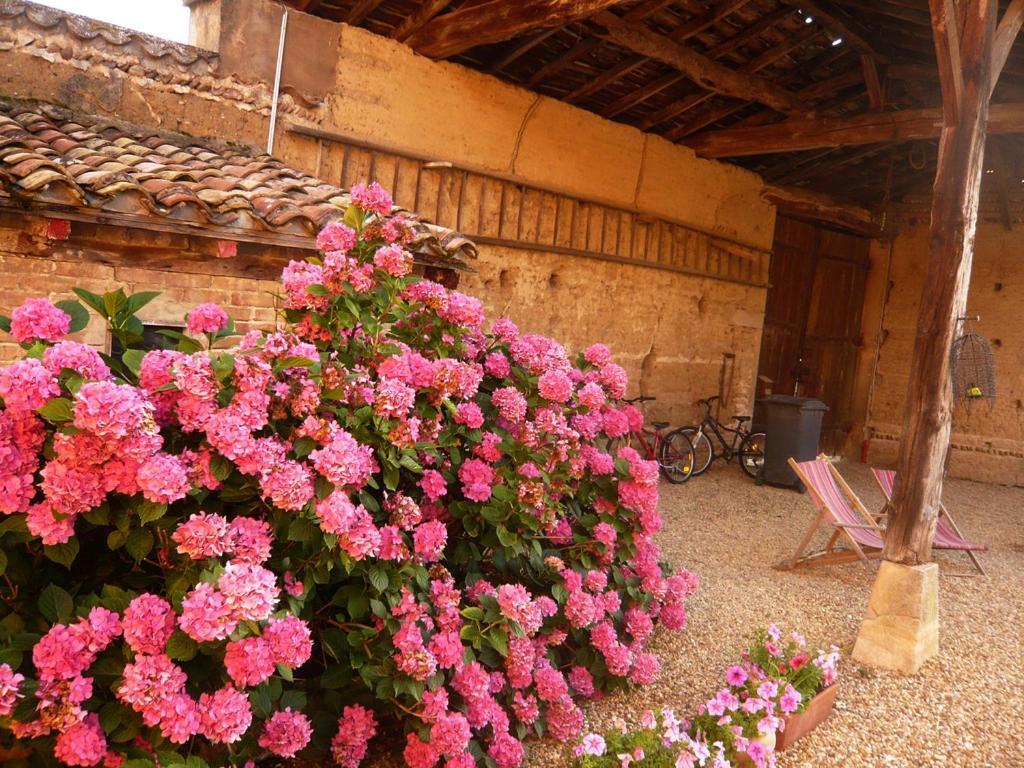 Hotel Bed & Breakfast - Maison De Marie Messimy-sur-Saone Exteriér fotografie